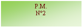 Zone de Texte: P.M.N2