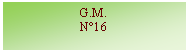 Zone de Texte: G.M.N16