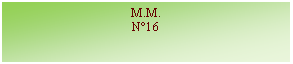 Zone de Texte: M.M.N16