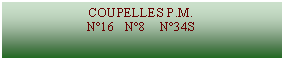 Zone de Texte: COUPELLES P.M.N16   N8    N34S