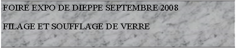 Zone de Texte: FOIRE EXPO DE DIEPPE SEPTEMBRE 2008FILAGE ET SOUFFLAGE DE VERRE