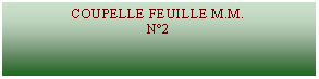 Zone de Texte: COUPELLE FEUILLE M.M.N2