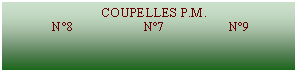 Zone de Texte:                              COUPELLES P.M.              N8                     N7                   N9